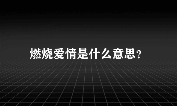 燃烧爱情是什么意思？