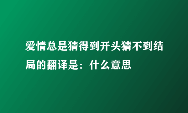 爱情总是猜得到开头猜不到结局的翻译是：什么意思