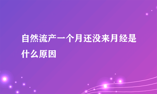 自然流产一个月还没来月经是什么原因