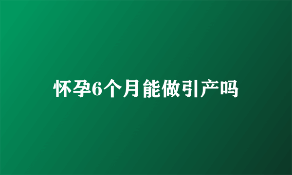 怀孕6个月能做引产吗