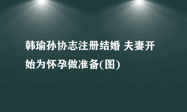 韩瑜孙协志注册结婚 夫妻开始为怀孕做准备(图)