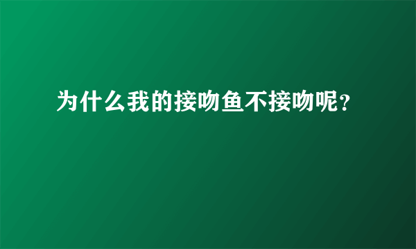 为什么我的接吻鱼不接吻呢？