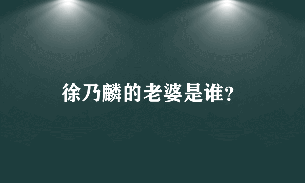 徐乃麟的老婆是谁？