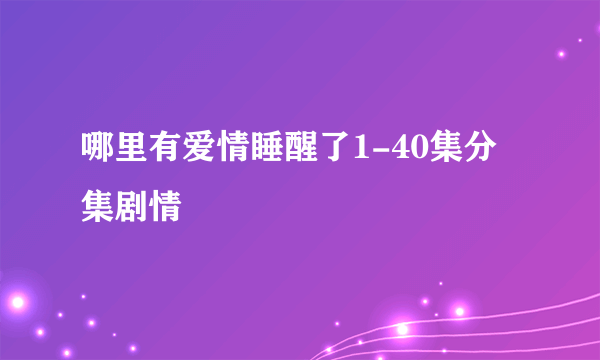 哪里有爱情睡醒了1-40集分集剧情