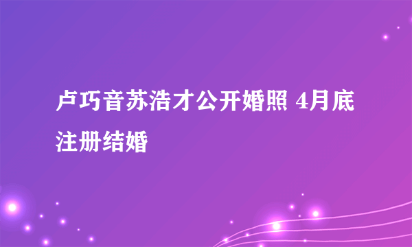 卢巧音苏浩才公开婚照 4月底注册结婚