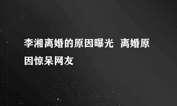 李湘离婚的原因曝光  离婚原因惊呆网友