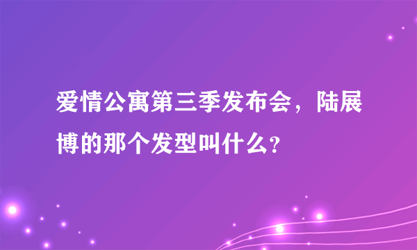 爱情公寓第三季发布会，陆展博的那个发型叫什么？