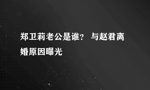 郑卫莉老公是谁？ 与赵君离婚原因曝光