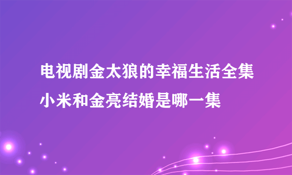 电视剧金太狼的幸福生活全集小米和金亮结婚是哪一集