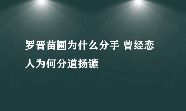 罗晋苗圃为什么分手 曾经恋人为何分道扬镳