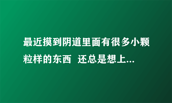 最近摸到阴道里面有很多小颗粒样的东西  还总是想上厕所是咋回