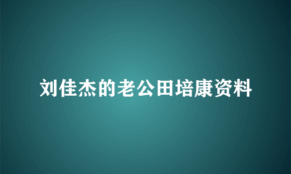 刘佳杰的老公田培康资料