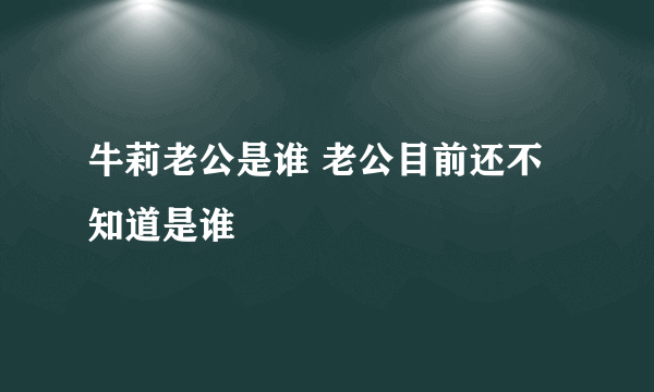 牛莉老公是谁 老公目前还不知道是谁