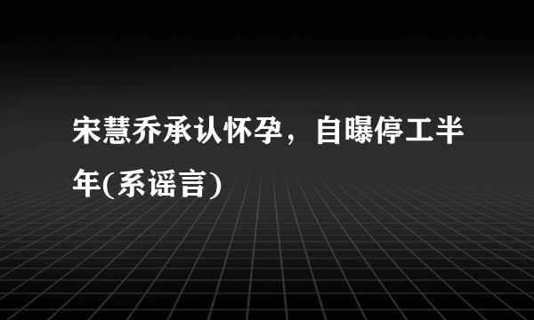 宋慧乔承认怀孕，自曝停工半年(系谣言)