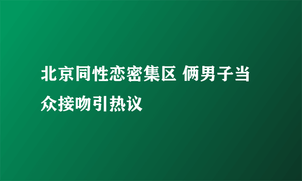 北京同性恋密集区 俩男子当众接吻引热议