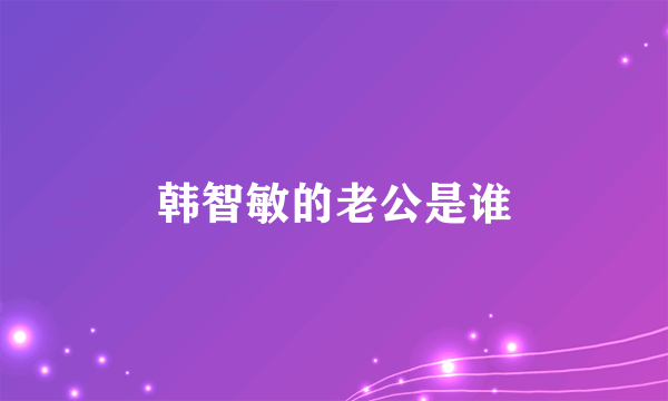 韩智敏的老公是谁