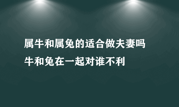 属牛和属兔的适合做夫妻吗 牛和兔在一起对谁不利