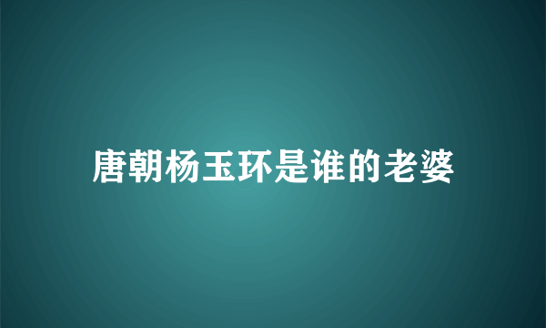 唐朝杨玉环是谁的老婆