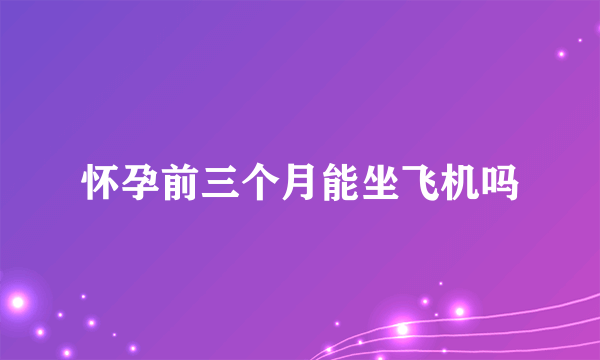 怀孕前三个月能坐飞机吗