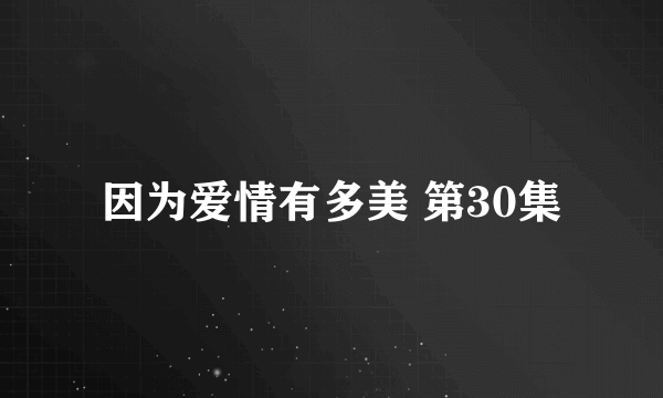 因为爱情有多美 第30集