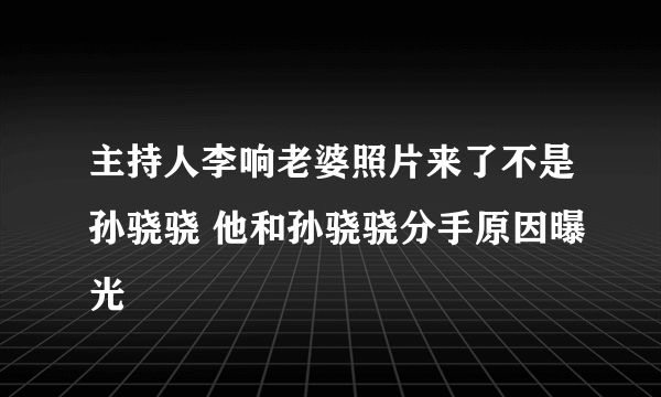 主持人李响老婆照片来了不是孙骁骁 他和孙骁骁分手原因曝光