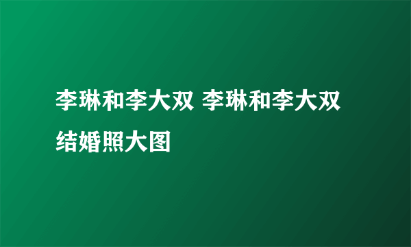 李琳和李大双 李琳和李大双结婚照大图