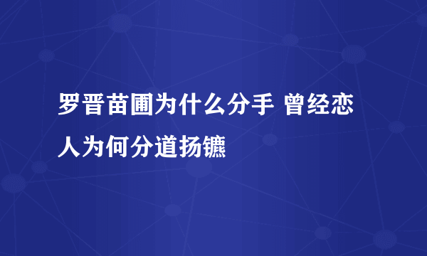 罗晋苗圃为什么分手 曾经恋人为何分道扬镳