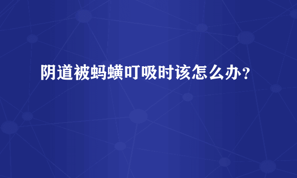 阴道被蚂蟥叮吸时该怎么办？