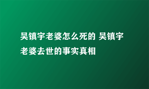 吴镇宇老婆怎么死的 吴镇宇老婆去世的事实真相