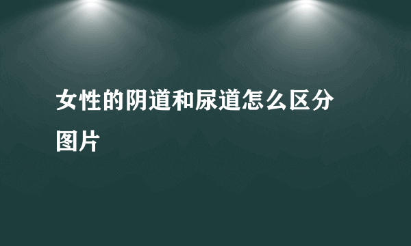 女性的阴道和尿道怎么区分 图片