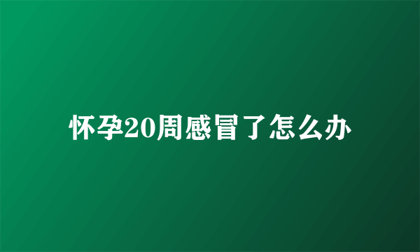 怀孕20周感冒了怎么办