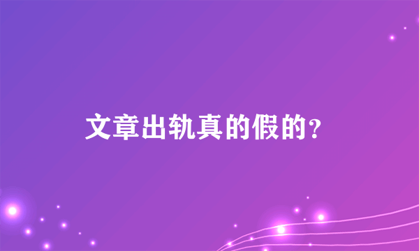 文章出轨真的假的？