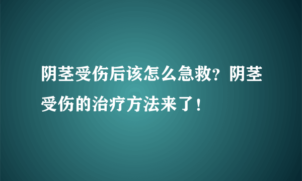 阴茎受伤后该怎么急救？阴茎受伤的治疗方法来了！