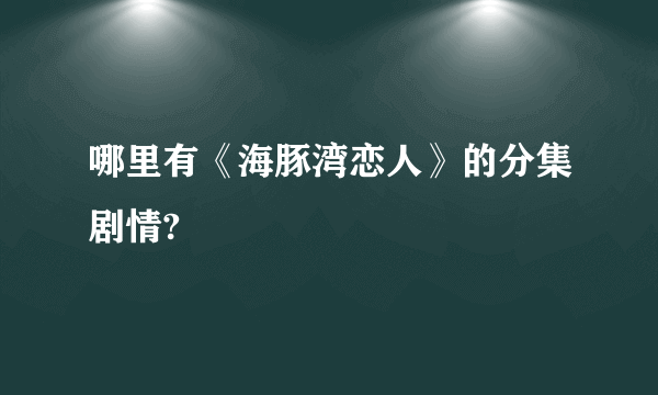 哪里有《海豚湾恋人》的分集剧情?