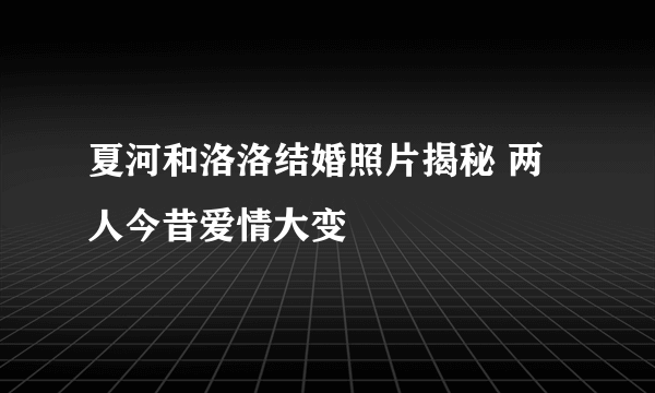 夏河和洛洛结婚照片揭秘 两人今昔爱情大变