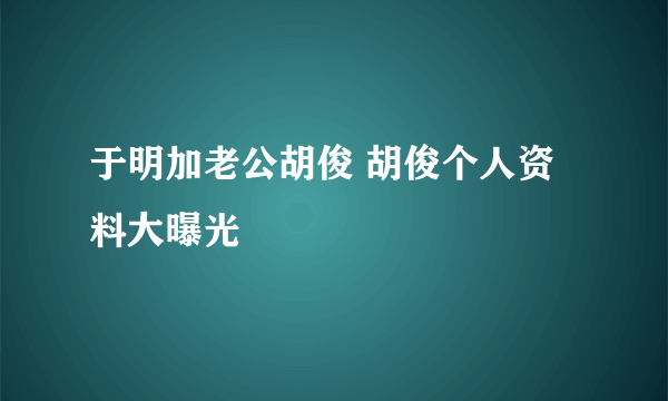 于明加老公胡俊 胡俊个人资料大曝光