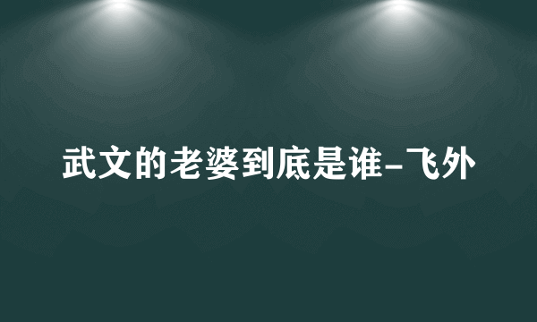 武文的老婆到底是谁-飞外