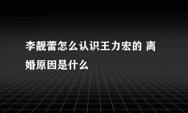 李靓蕾怎么认识王力宏的 离婚原因是什么