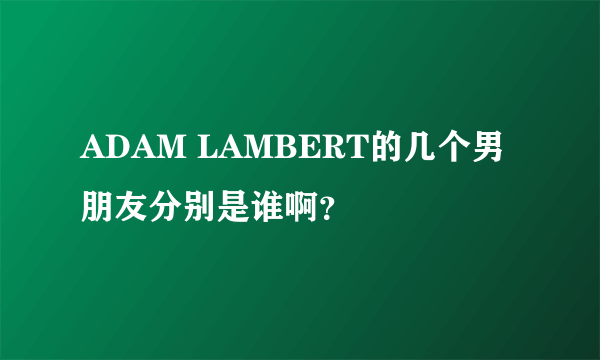 ADAM LAMBERT的几个男朋友分别是谁啊？