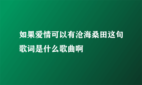 如果爱情可以有沧海桑田这句歌词是什么歌曲啊