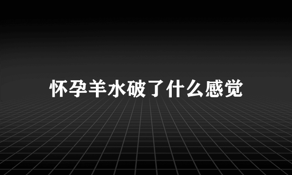 怀孕羊水破了什么感觉