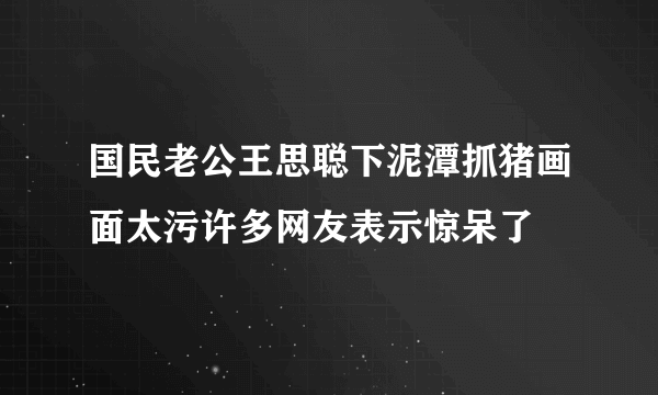 国民老公王思聪下泥潭抓猪画面太污许多网友表示惊呆了