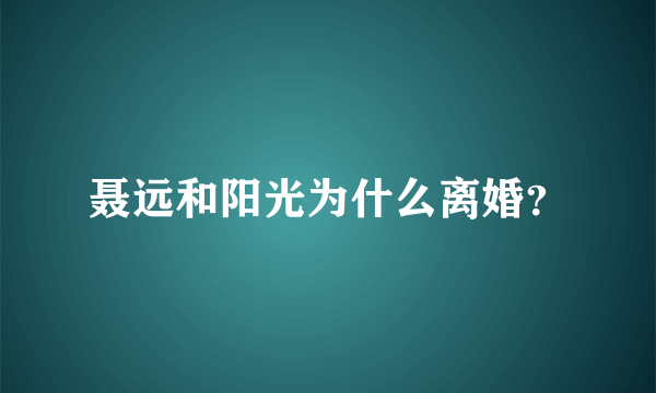 聂远和阳光为什么离婚？