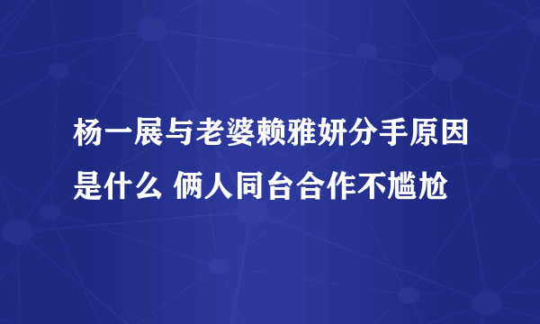 杨一展与老婆赖雅妍分手原因是什么 俩人同台合作不尴尬