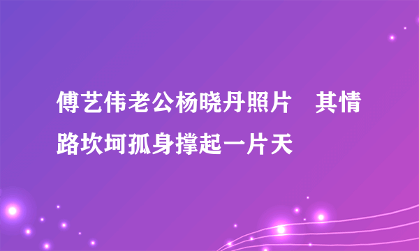 傅艺伟老公杨晓丹照片   其情路坎坷孤身撑起一片天