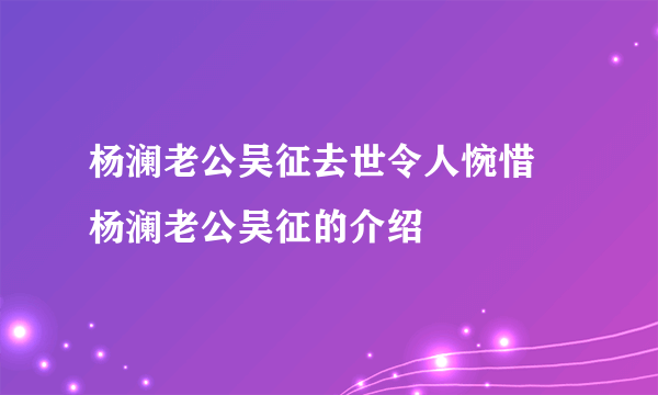 杨澜老公吴征去世令人惋惜 杨澜老公吴征的介绍