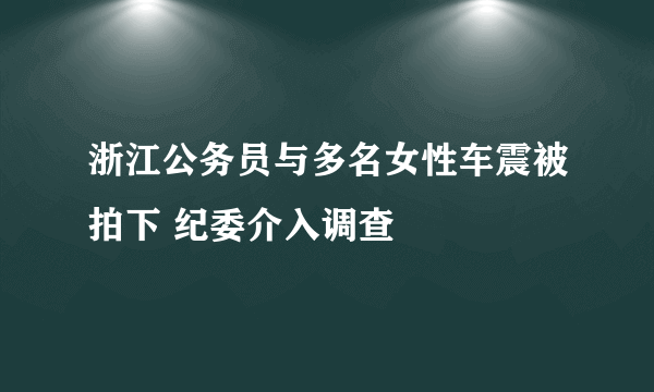 浙江公务员与多名女性车震被拍下 纪委介入调查