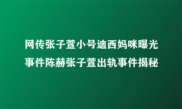 网传张子萱小号迪西妈咪曝光事件陈赫张子萱出轨事件揭秘