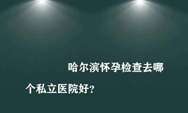 
				哈尔滨怀孕检查去哪个私立医院好？
			