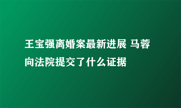 王宝强离婚案最新进展 马蓉向法院提交了什么证据